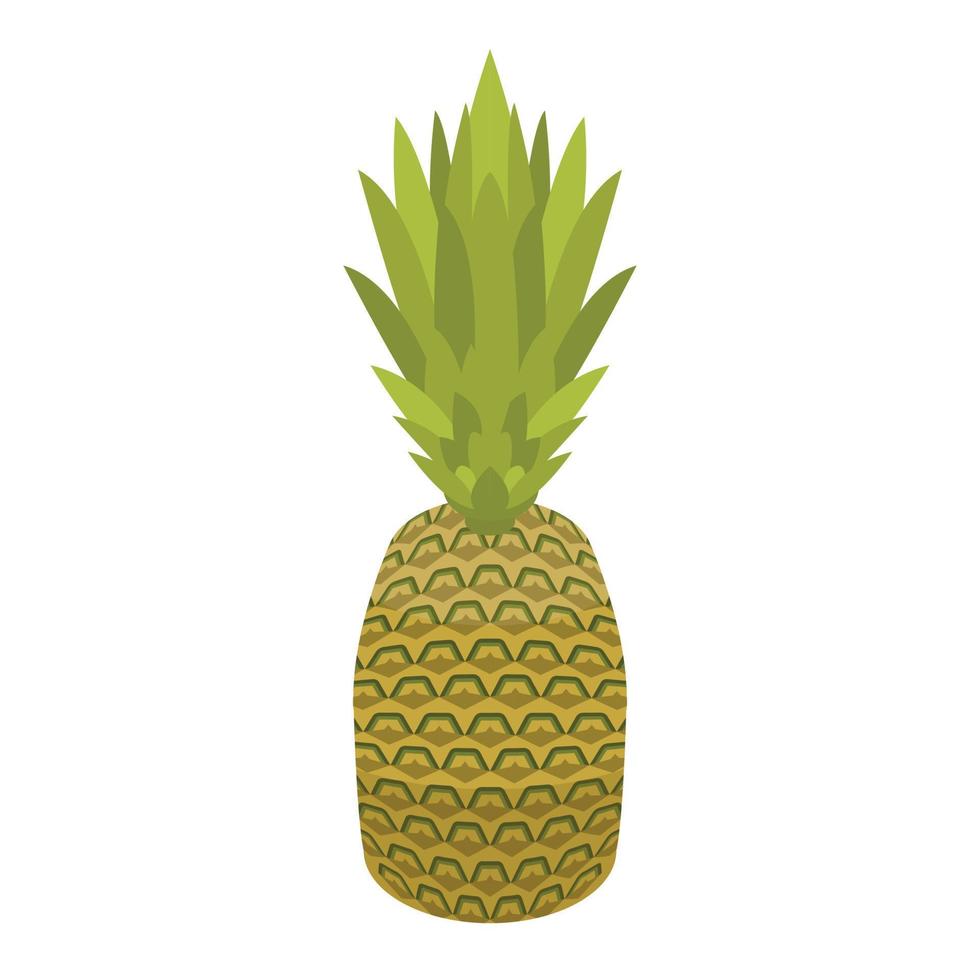 Whole pineapple icon, isometric style vector