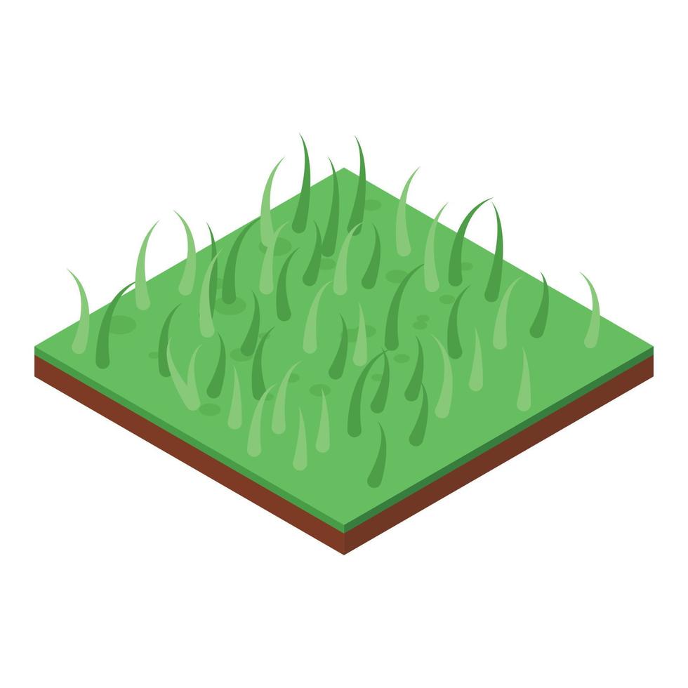 Home grass icon, isometric style vector