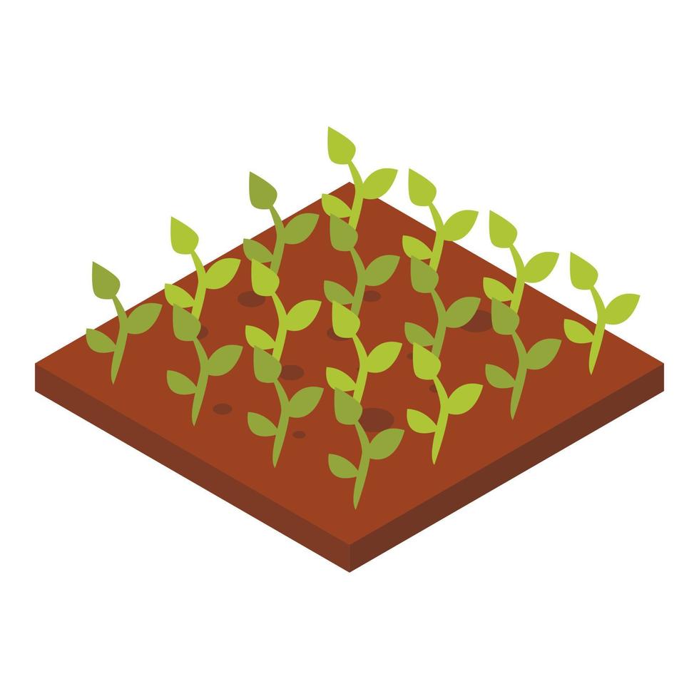 Greenhouse plant icon, isometric style vector