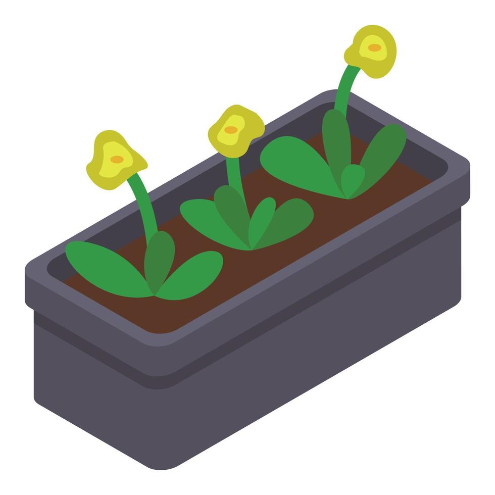 Yellow flower window pot icon, isometric style vector