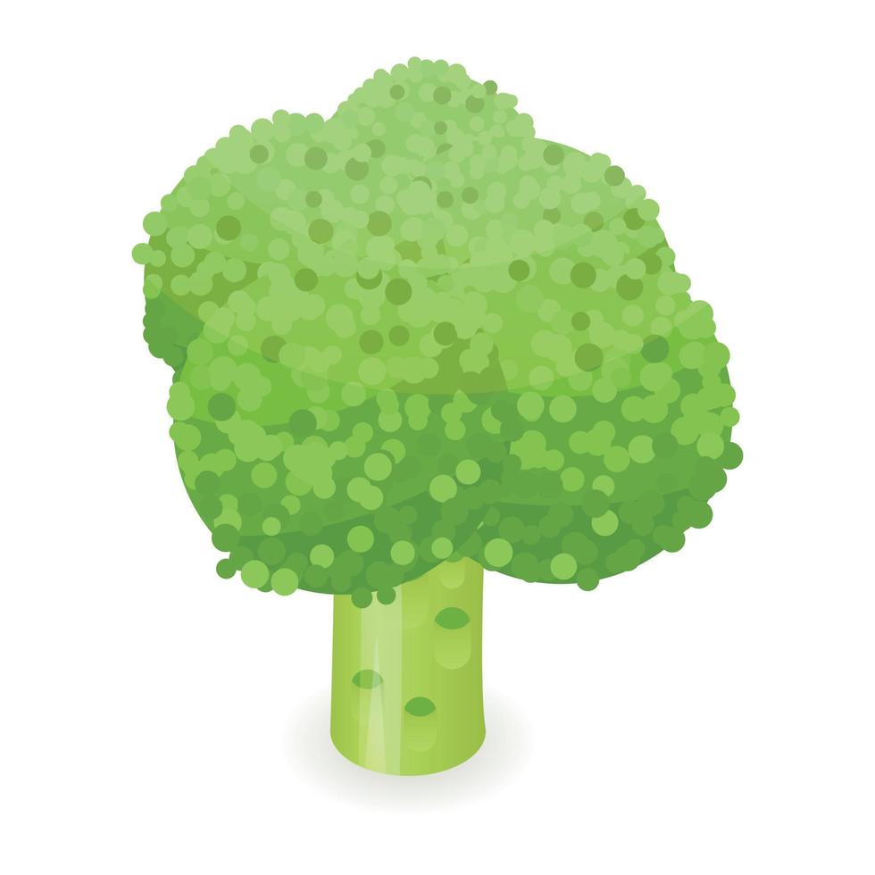 Broccoli icon, isometric style vector