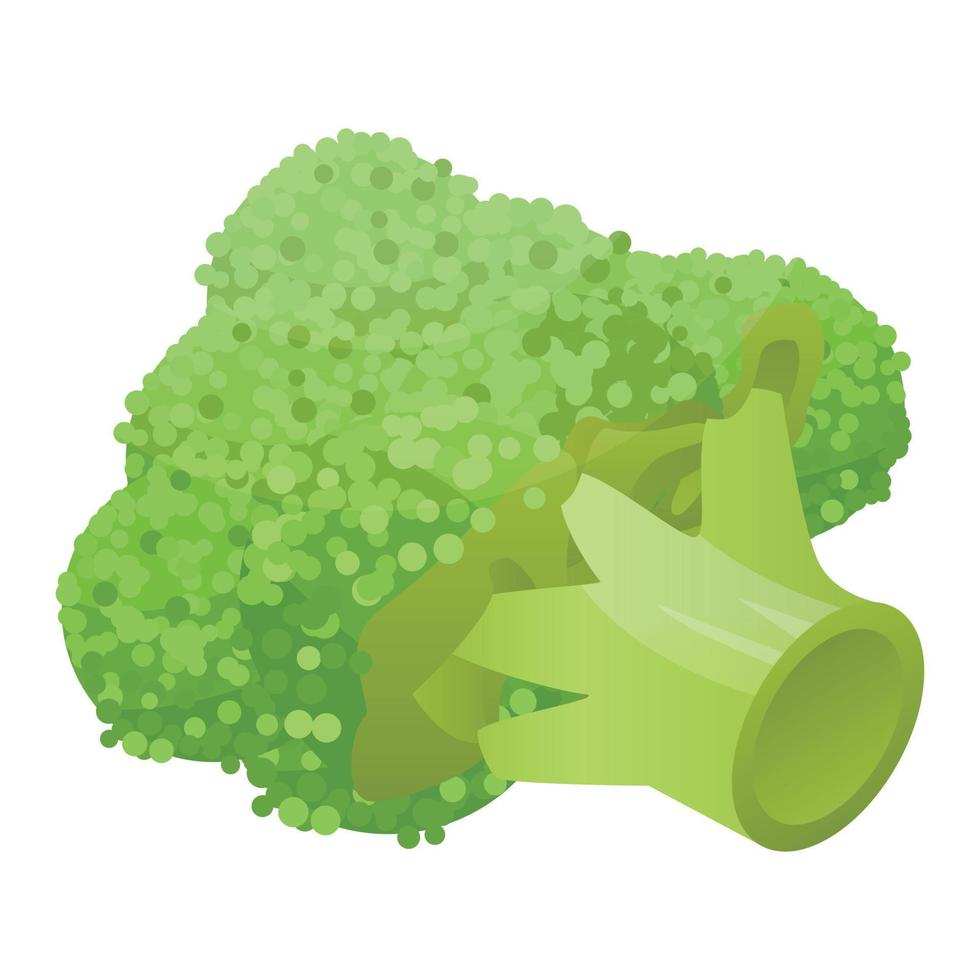 Fresh broccoli icon, isometric style vector