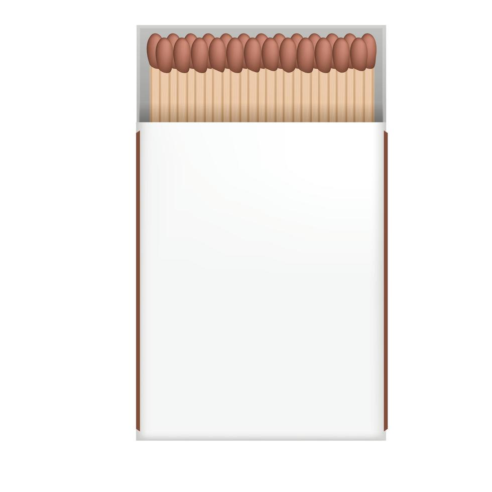 Box matches icon, realistic style vector