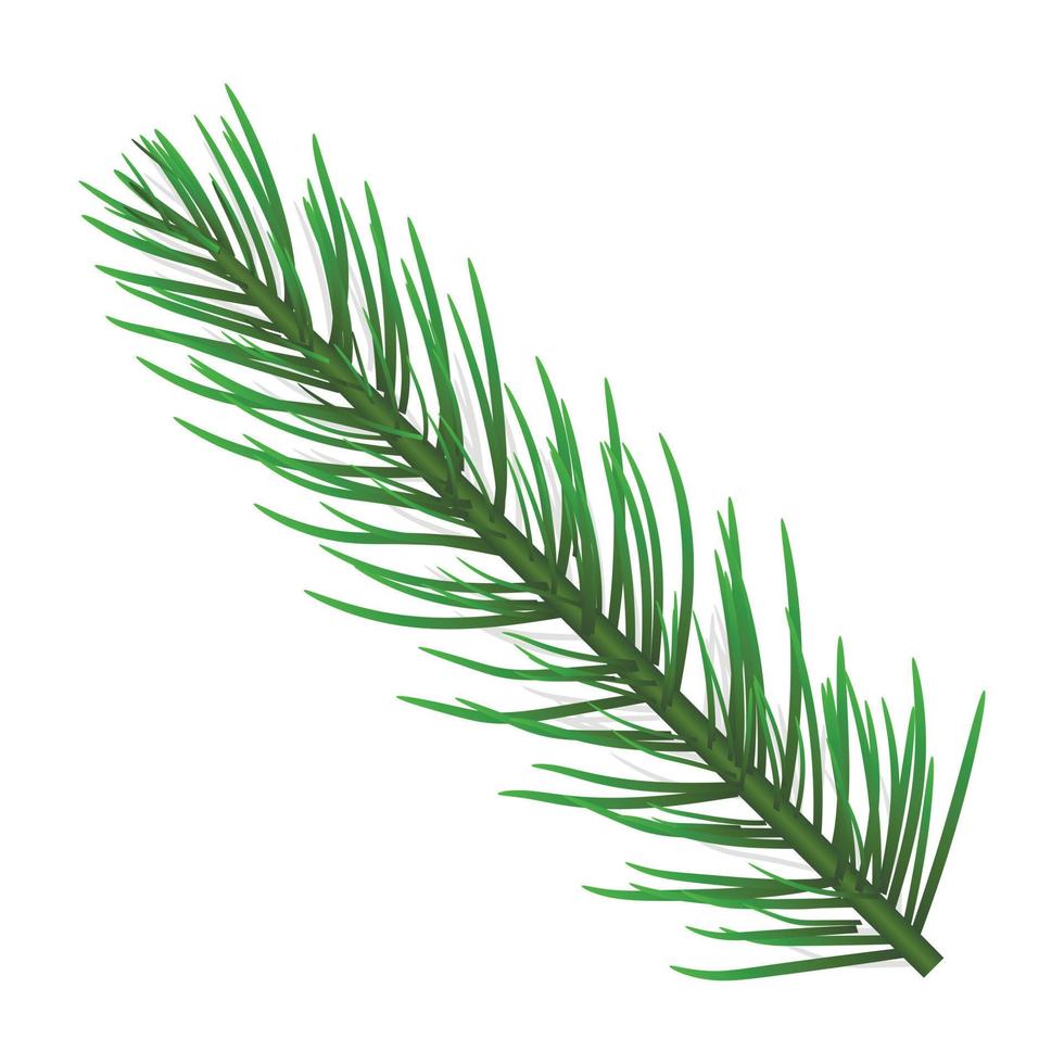 Fir tree branch icon, realistic style vector