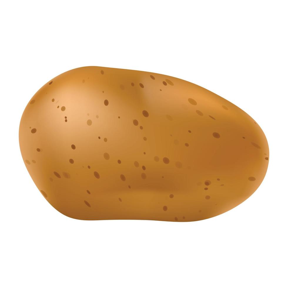 icono de patata entera, estilo realista vector