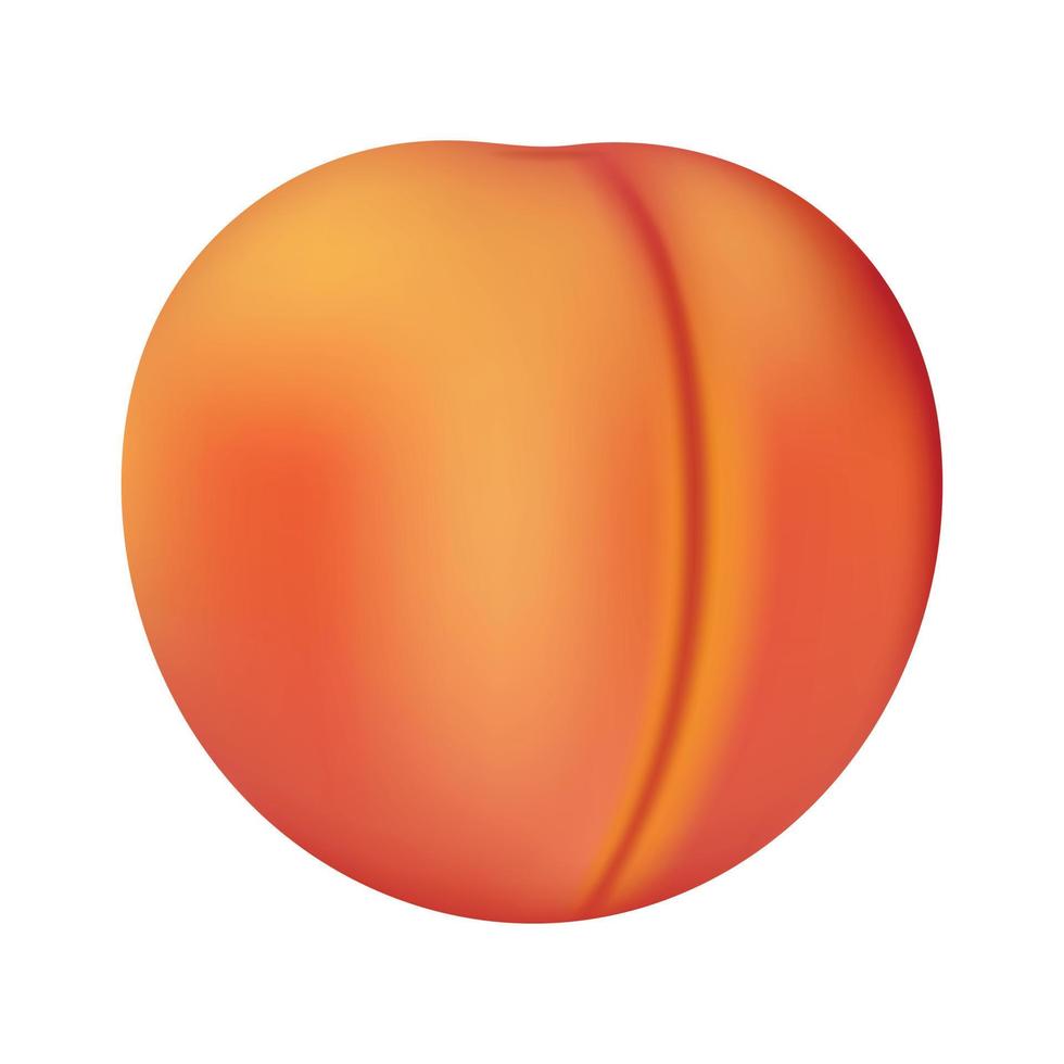 Peach icon, realistic style vector