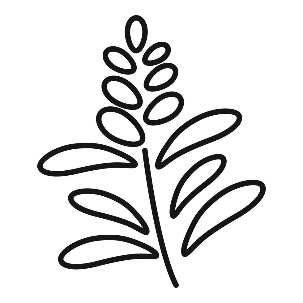 Sage witch icon outline vector. Herb plant vector