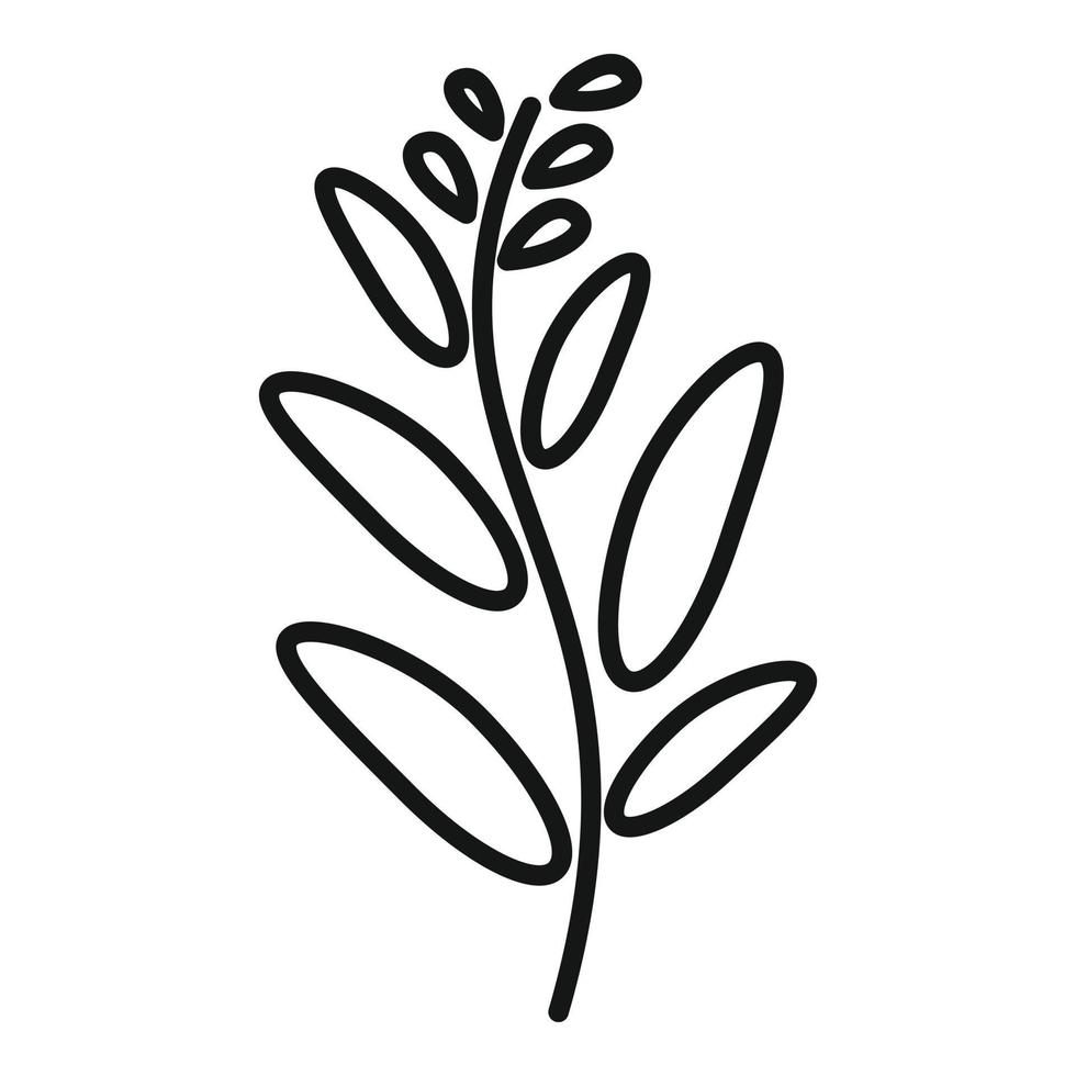 Sage salvia icon outline vector. Leaf herb vector