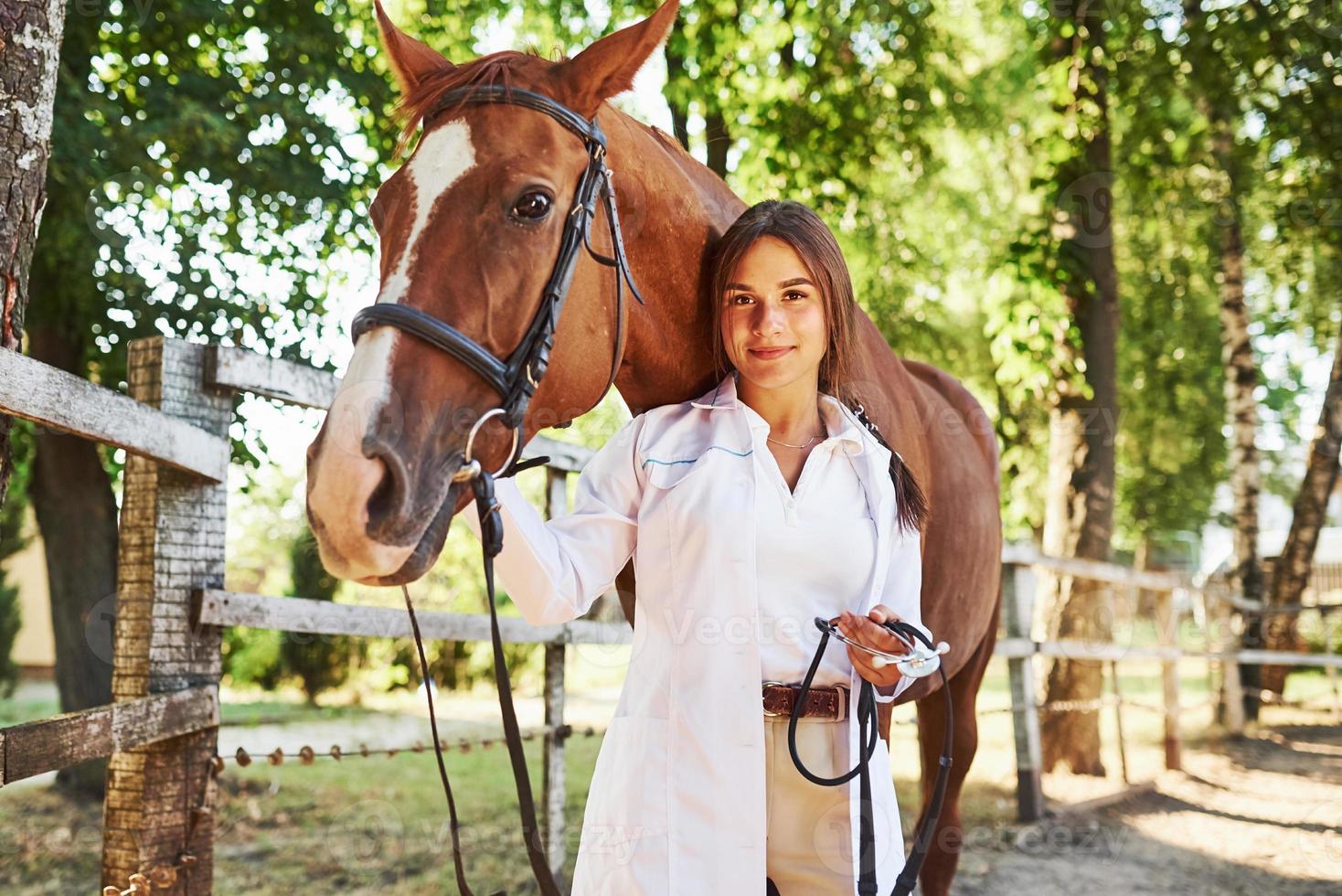 Front view. Female vet examining horse outdoors at the farm at daytime photo