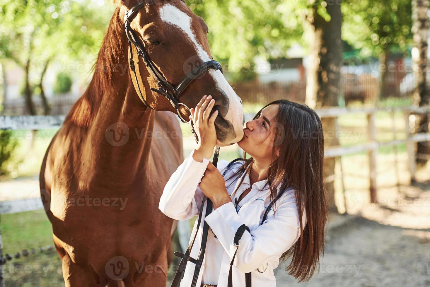 Giving a kiss. Female vet examining horse outdoors at the farm at daytime photo