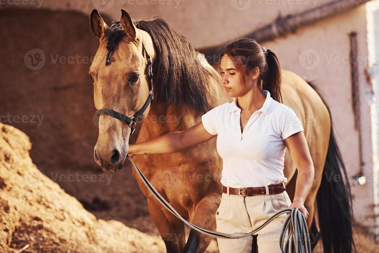 preparándose para el viaje. amazona en uniforme blanco con su caballo en la granja. listo para el viaje foto