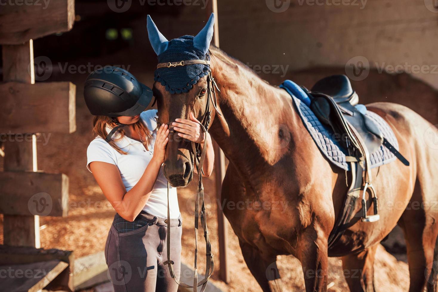 el animal está vestido de azul. amazona en uniforme y casco protector negro con su caballo foto