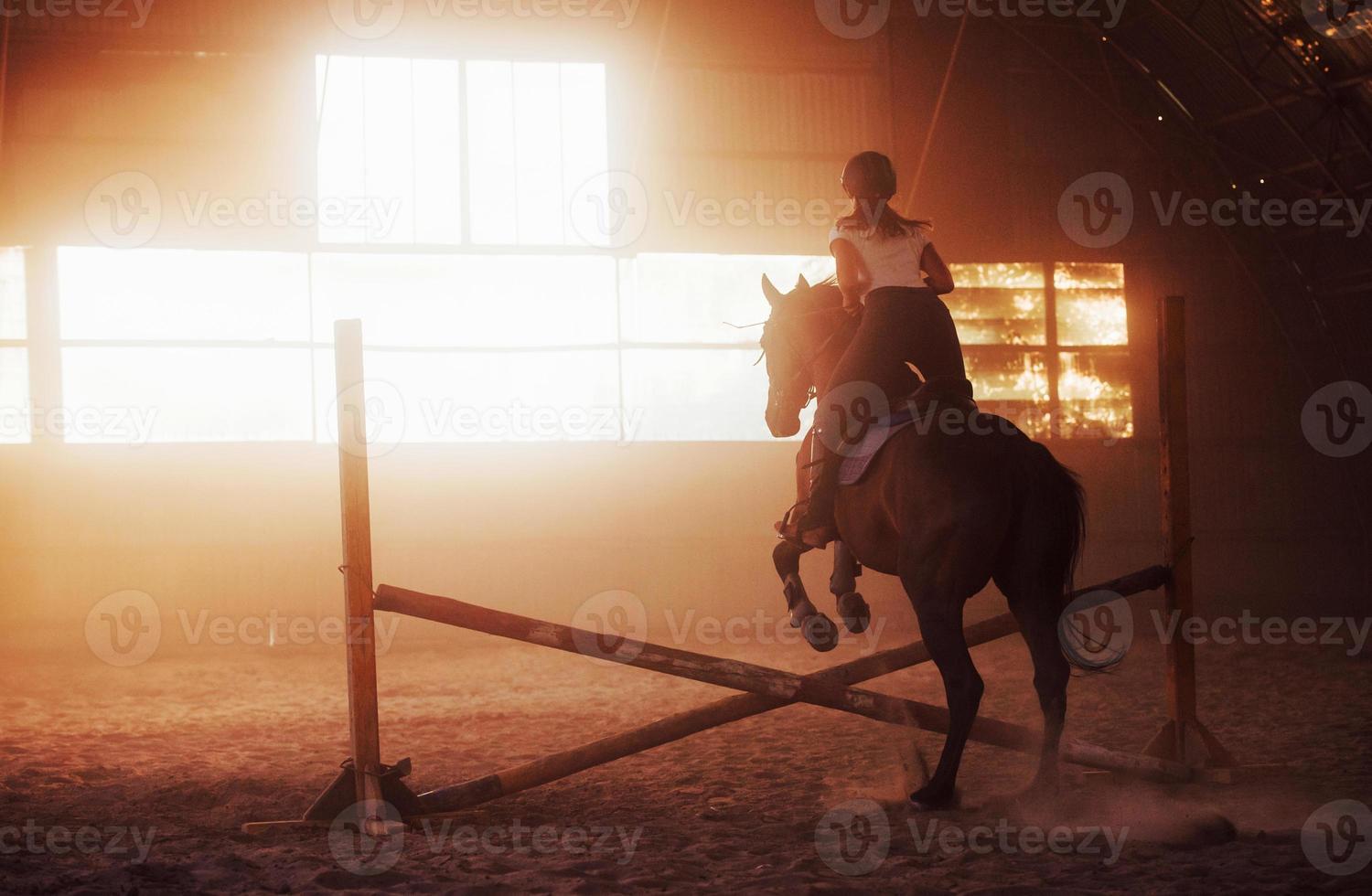 Majestic image of horse silhouette with rider on sunset background. The girl jockey on the back of a stallion rides in a hangar on a farm photo