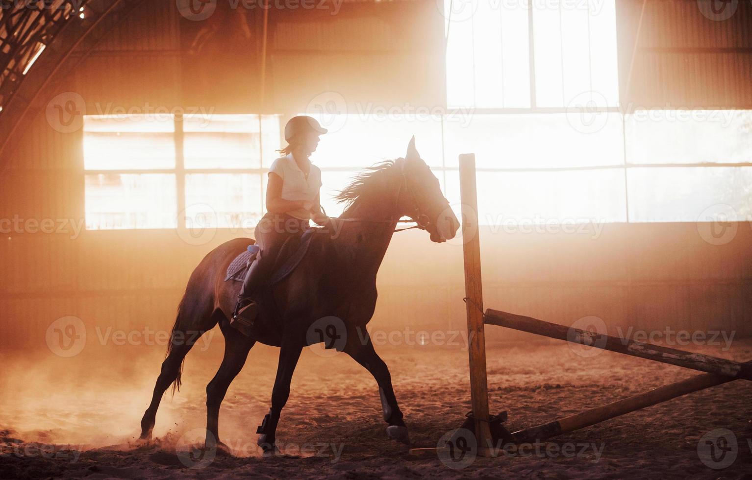 majestuosa imagen de silueta de caballo con jinete sobre fondo de puesta de sol. la chica jockey en la parte trasera de un semental monta en un hangar en una granja foto