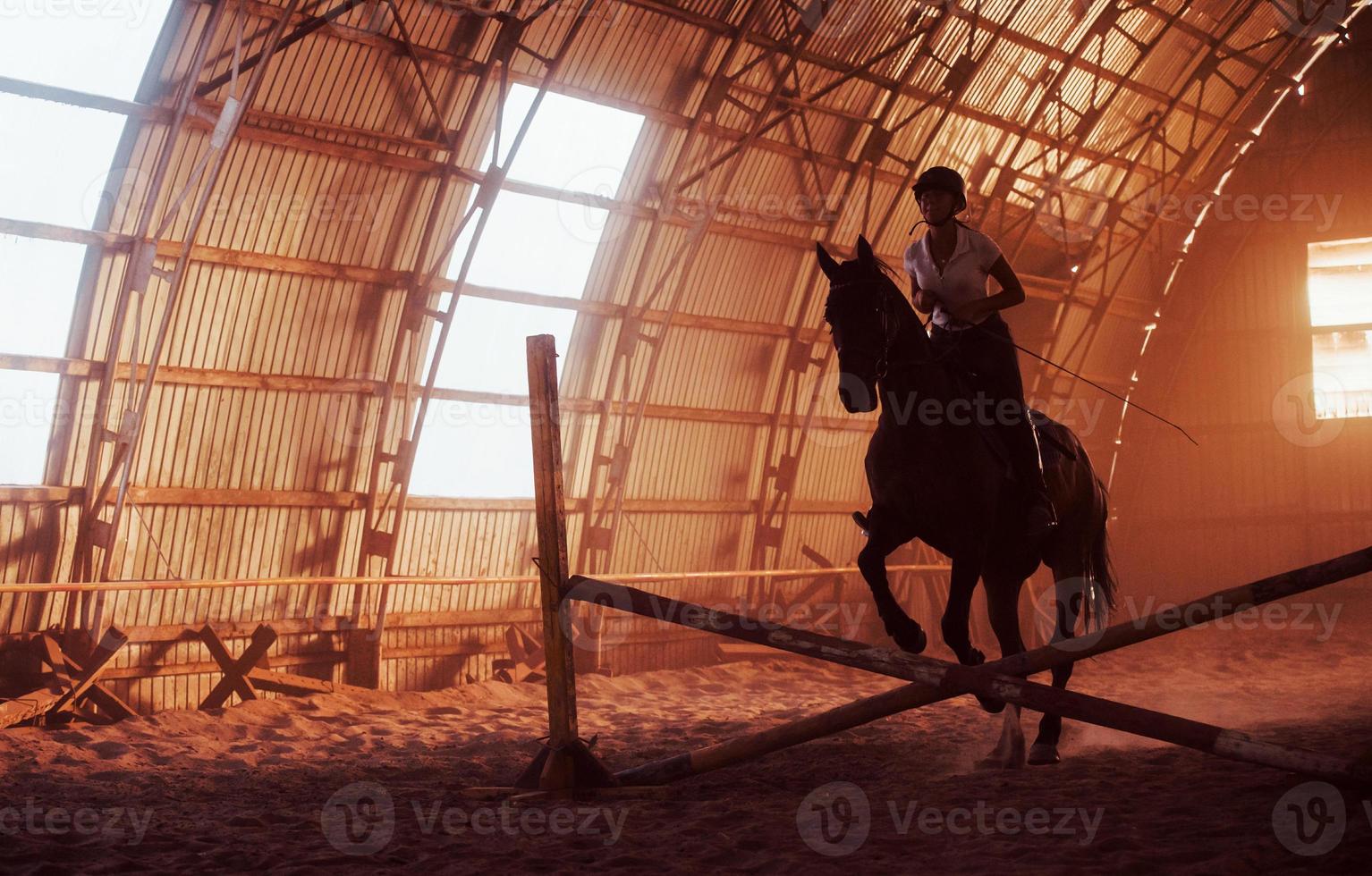 Majestic image of horse silhouette with rider on sunset background. The girl jockey on the back of a stallion rides in a hangar on a farm photo