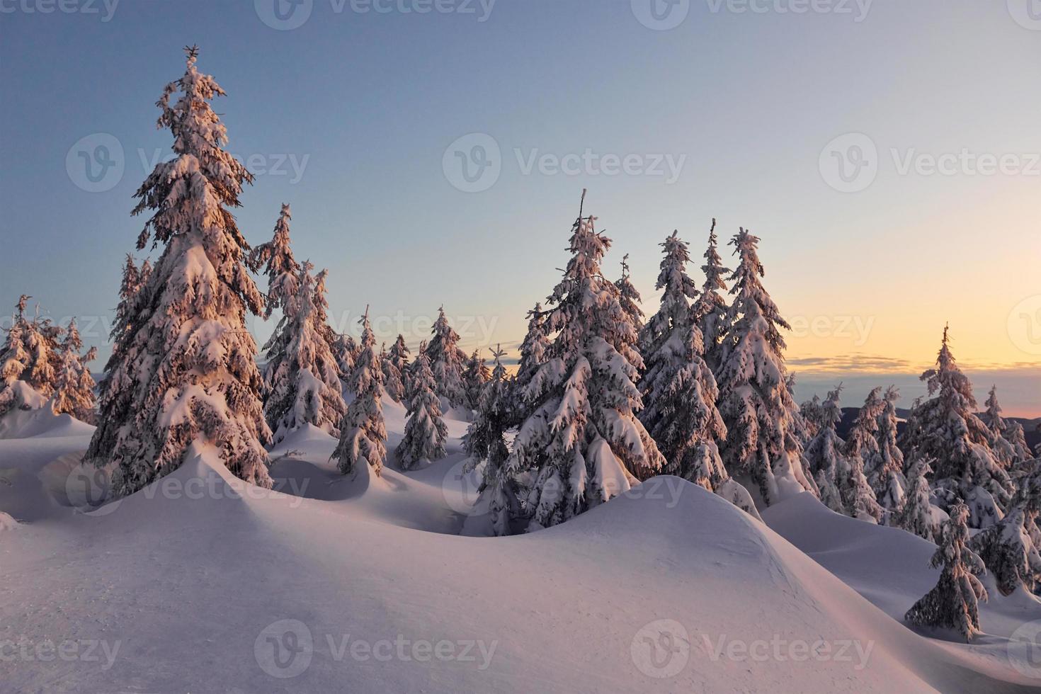 Snow covers lot of ground and trees. Magical winter landscape photo