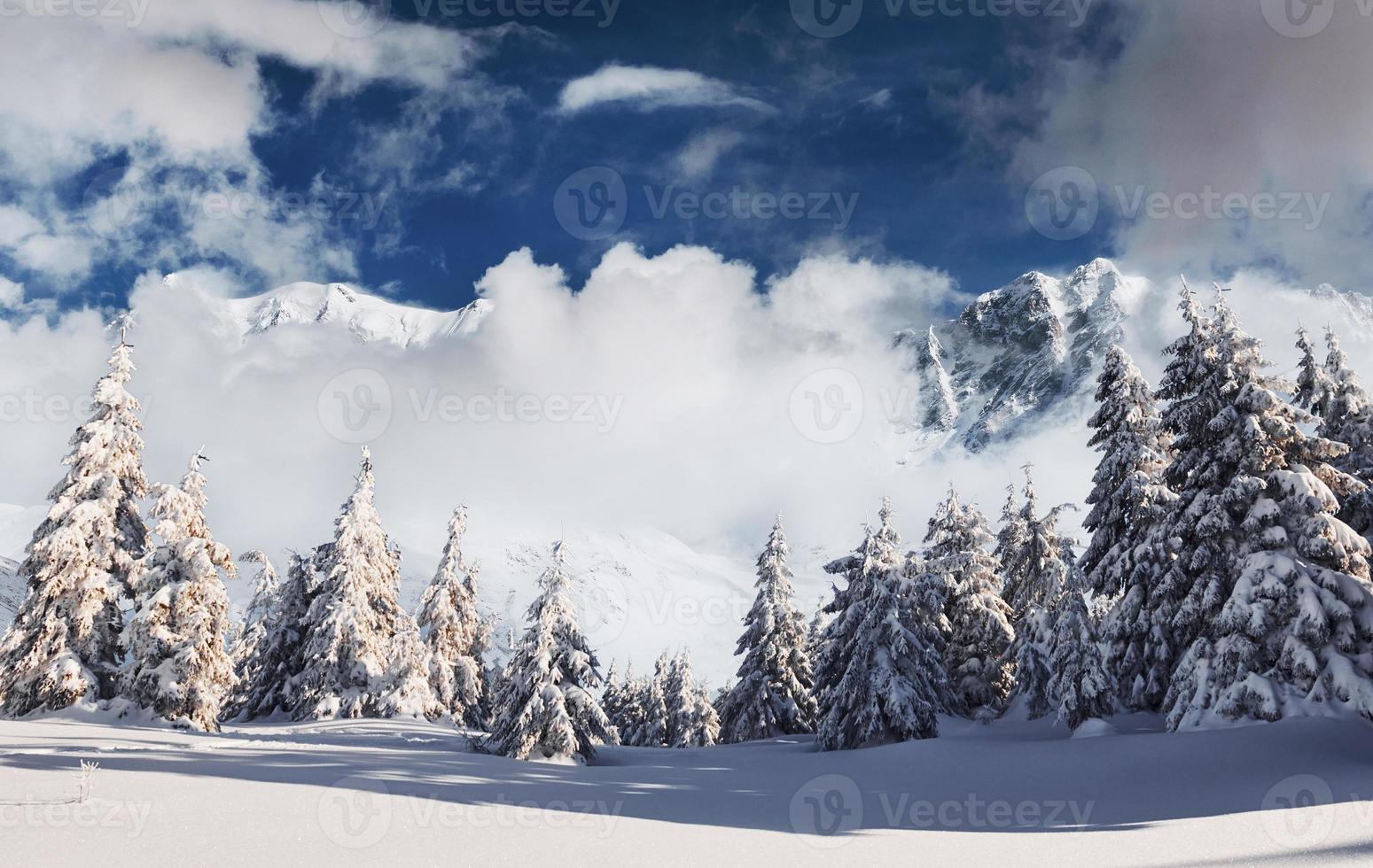 hermoso paisaje majestuoso de invierno con nieve en los árboles. Naturaleza salvaje foto