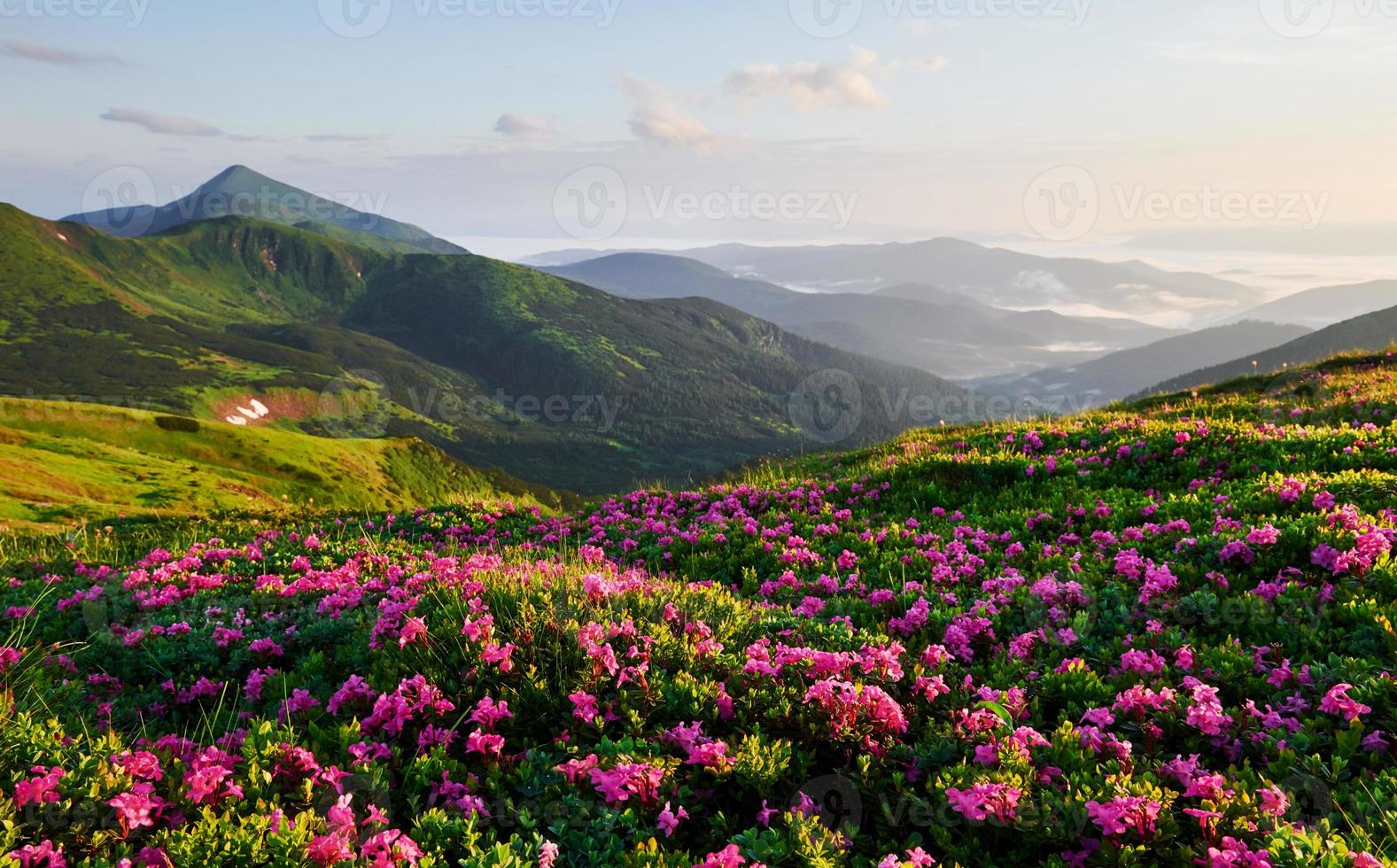 At countryside. Majestic Carpathian mountains. Beautiful landscape. Breathtaking view photo