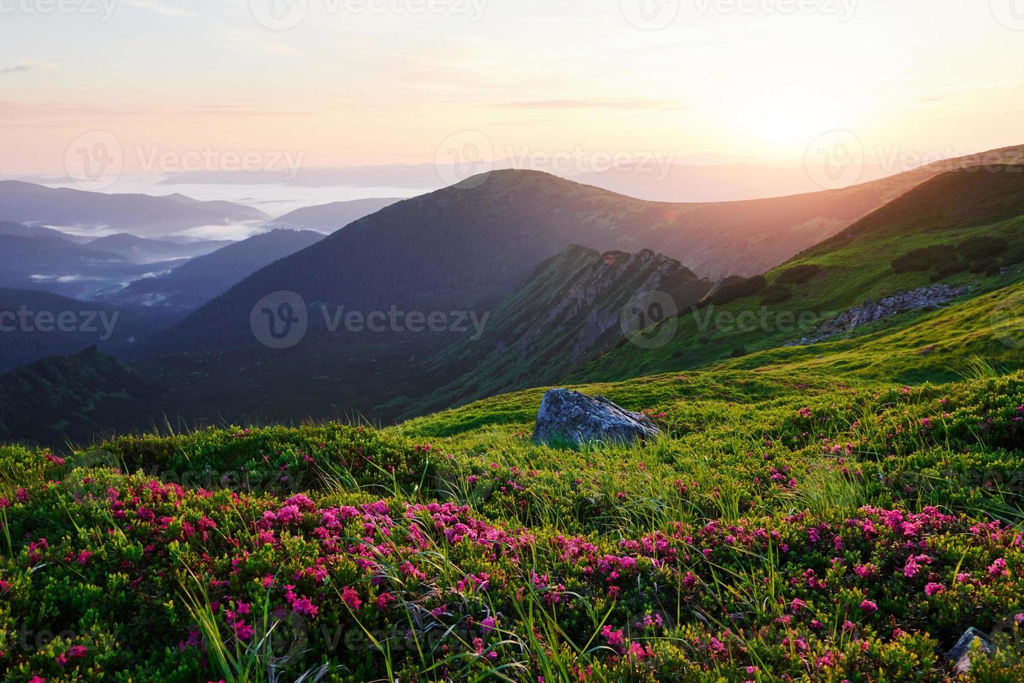 Wide view. Majestic Carpathian mountains. Beautiful landscape photo