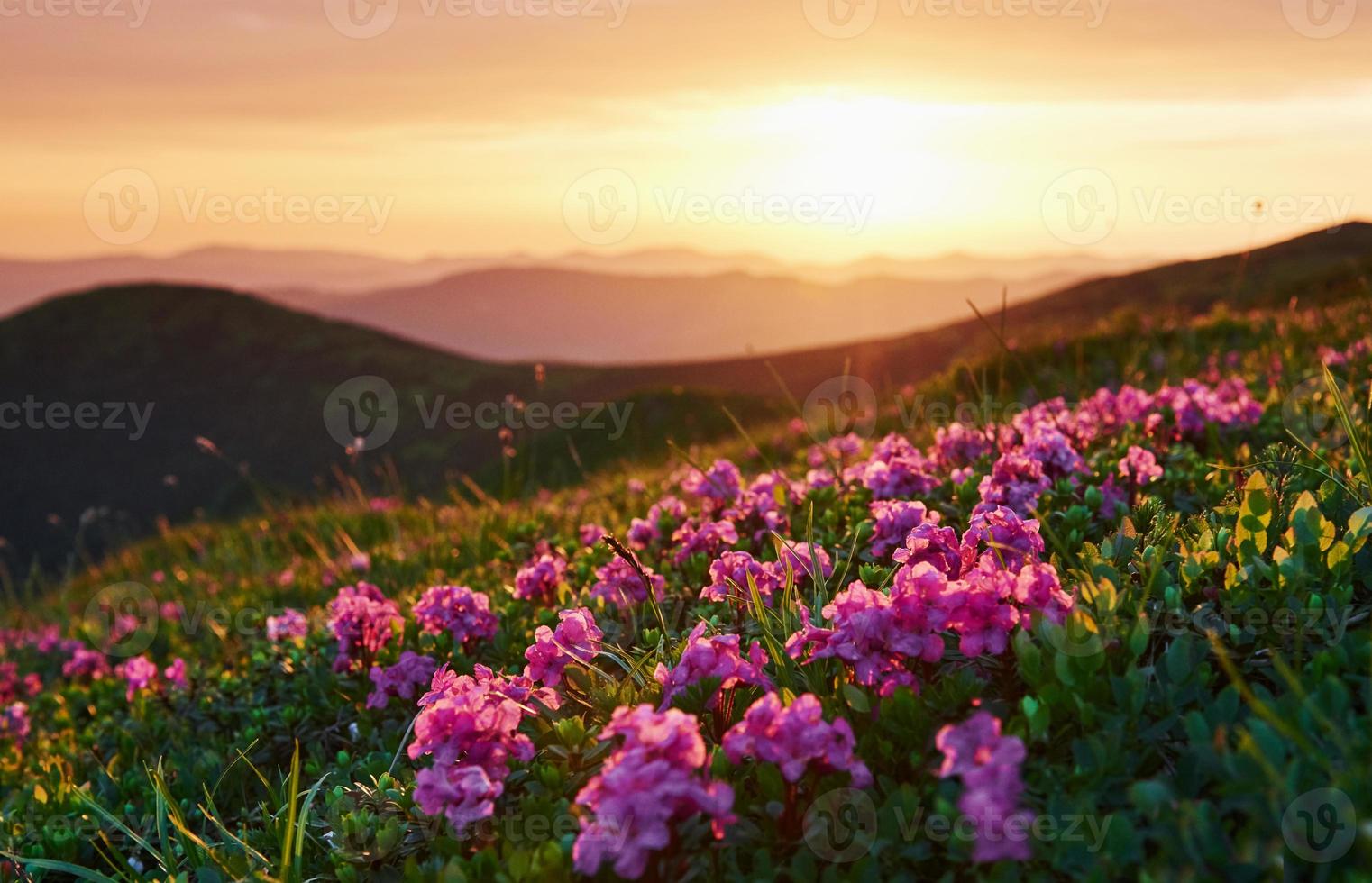 naturaleza y fondo de montaña. majestuosos cárpatos. Precioso paisaje. vista impresionante foto