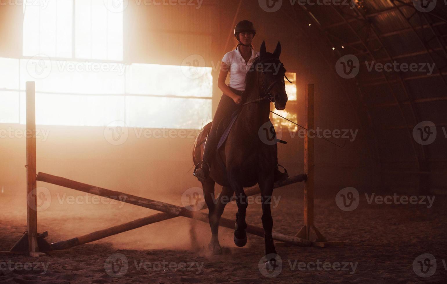 majestuosa imagen de silueta de caballo con jinete sobre fondo de puesta de sol. la chica jockey en la parte trasera de un semental monta en un hangar en una granja foto