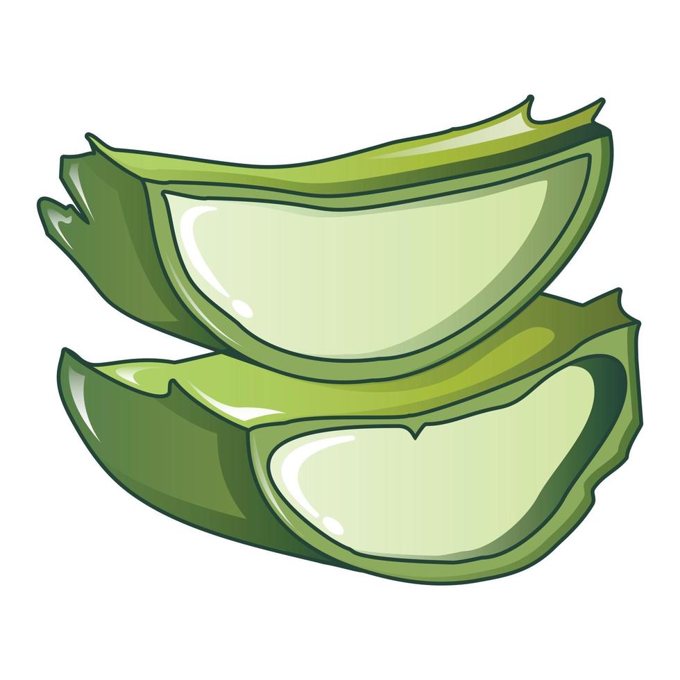 Cut aloe vera icon, cartoon style vector