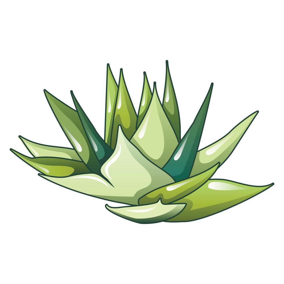 Aloe vera plant icon, cartoon style vector