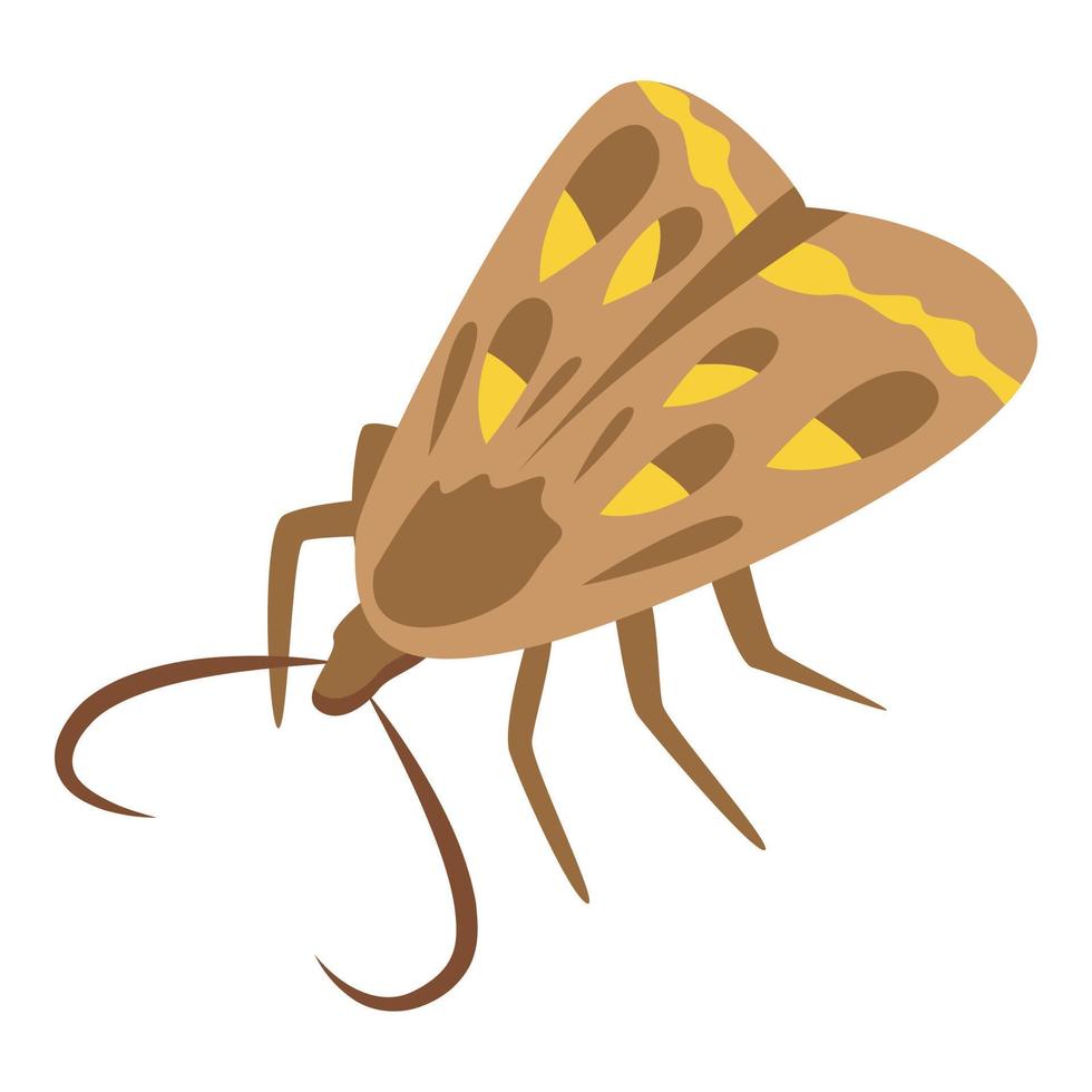 no hay vector isométrico de icono de mariposa de plagas. control quimico