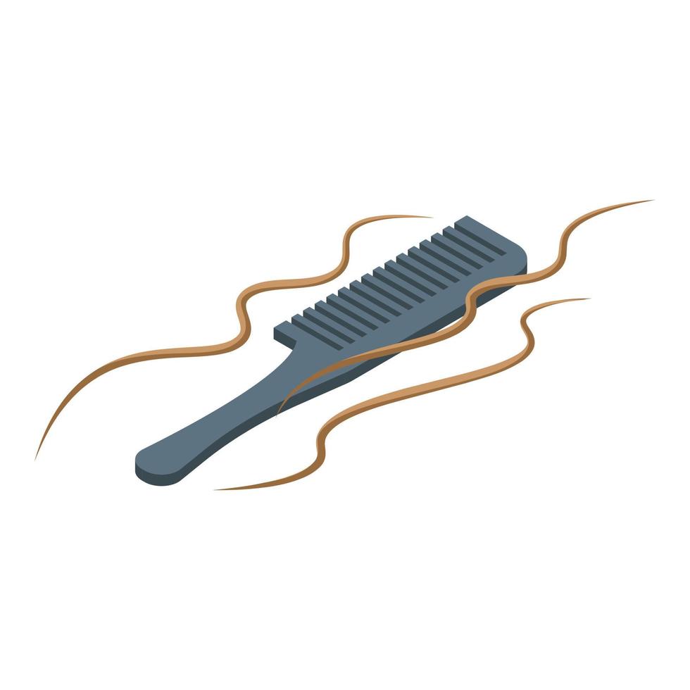 Curly hair comb icon isometric vector. Brush object vector