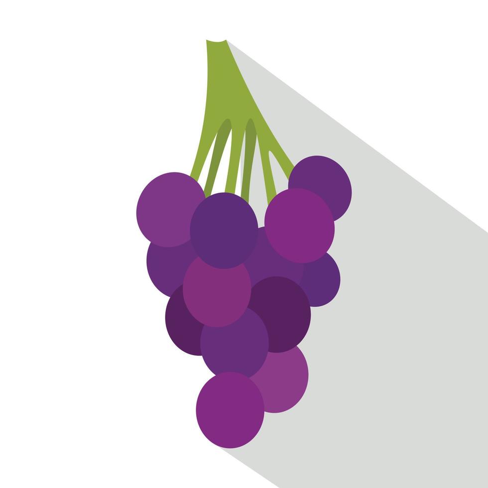 Bunch of blue grapes icon, flat style vector
