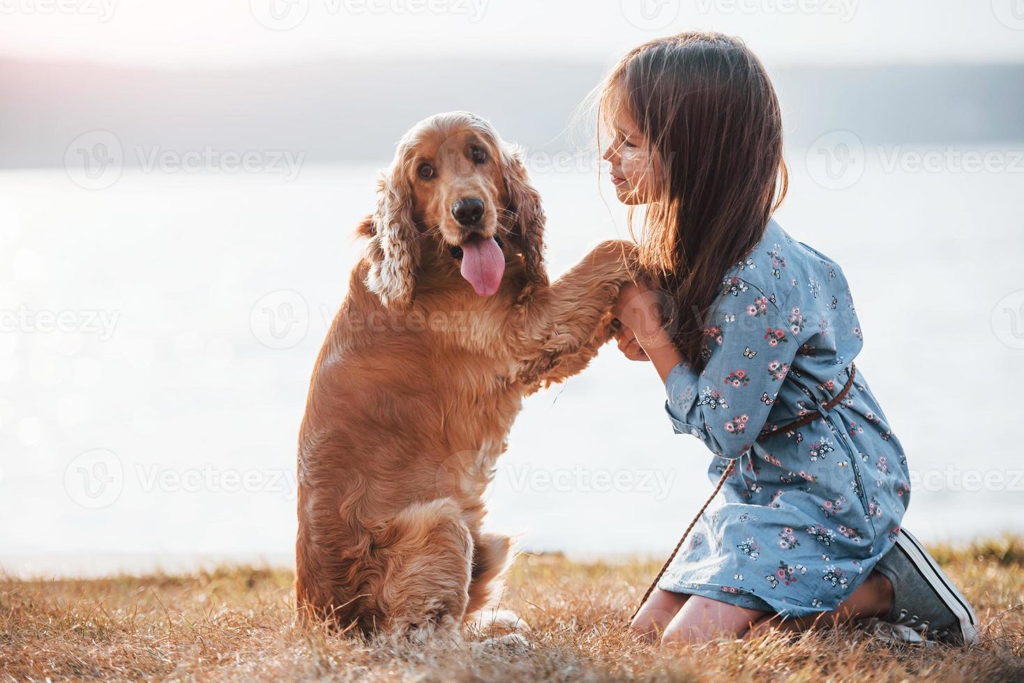 Holding by the hands. Cute little girl have a walk with her dog outdoors at sunny day photo