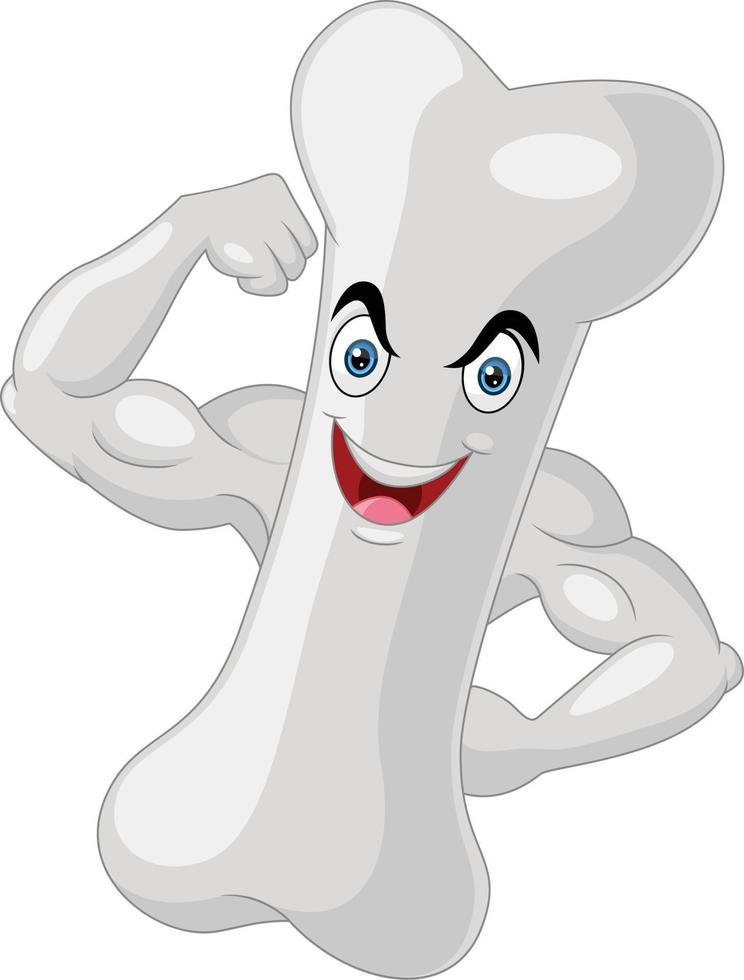 Strong muscular bone cartoon character vector