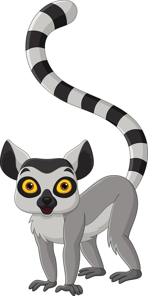 Cartoon cute lemur on white background vector