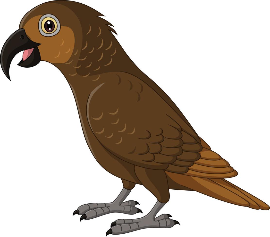 Cartoon Kaka Bush Parrot on White Background vector