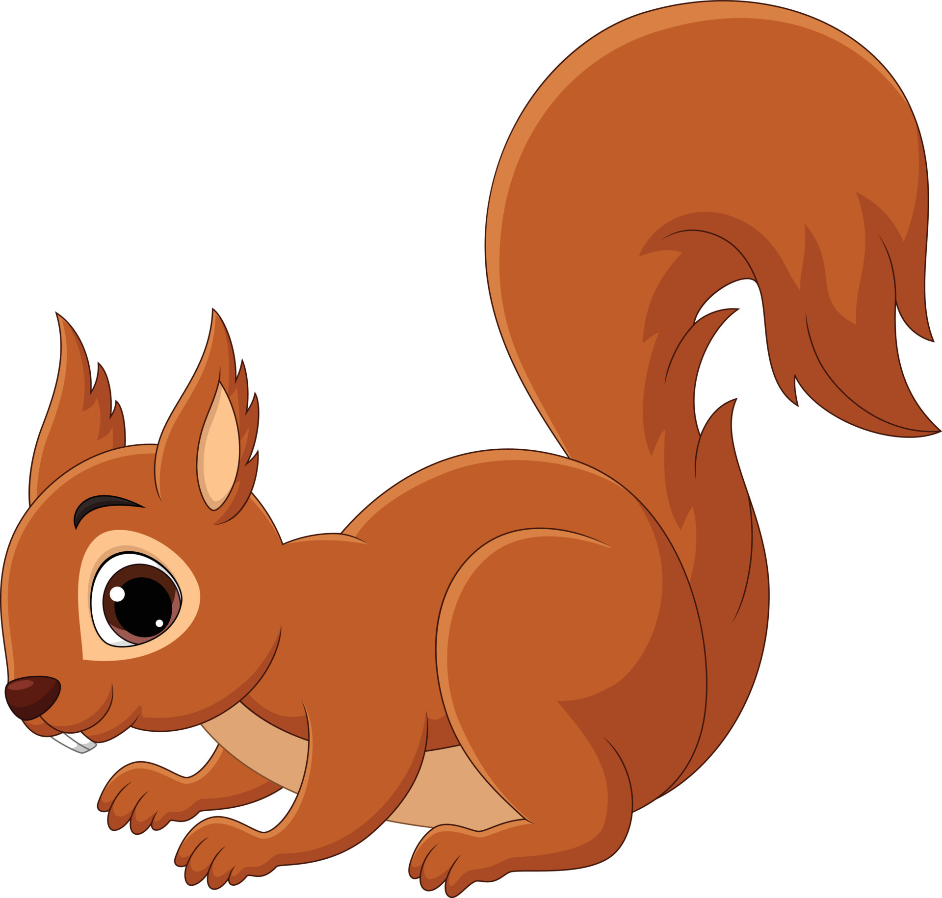 Cartoon happy squirrel isolated on white background 15219670 Vector Art at Vecteezy