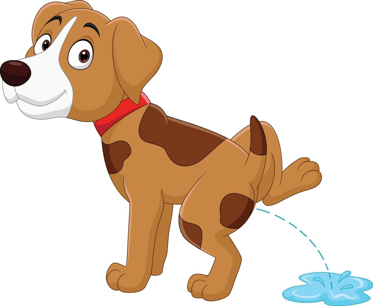 Cartoon funny little dog peeing vector