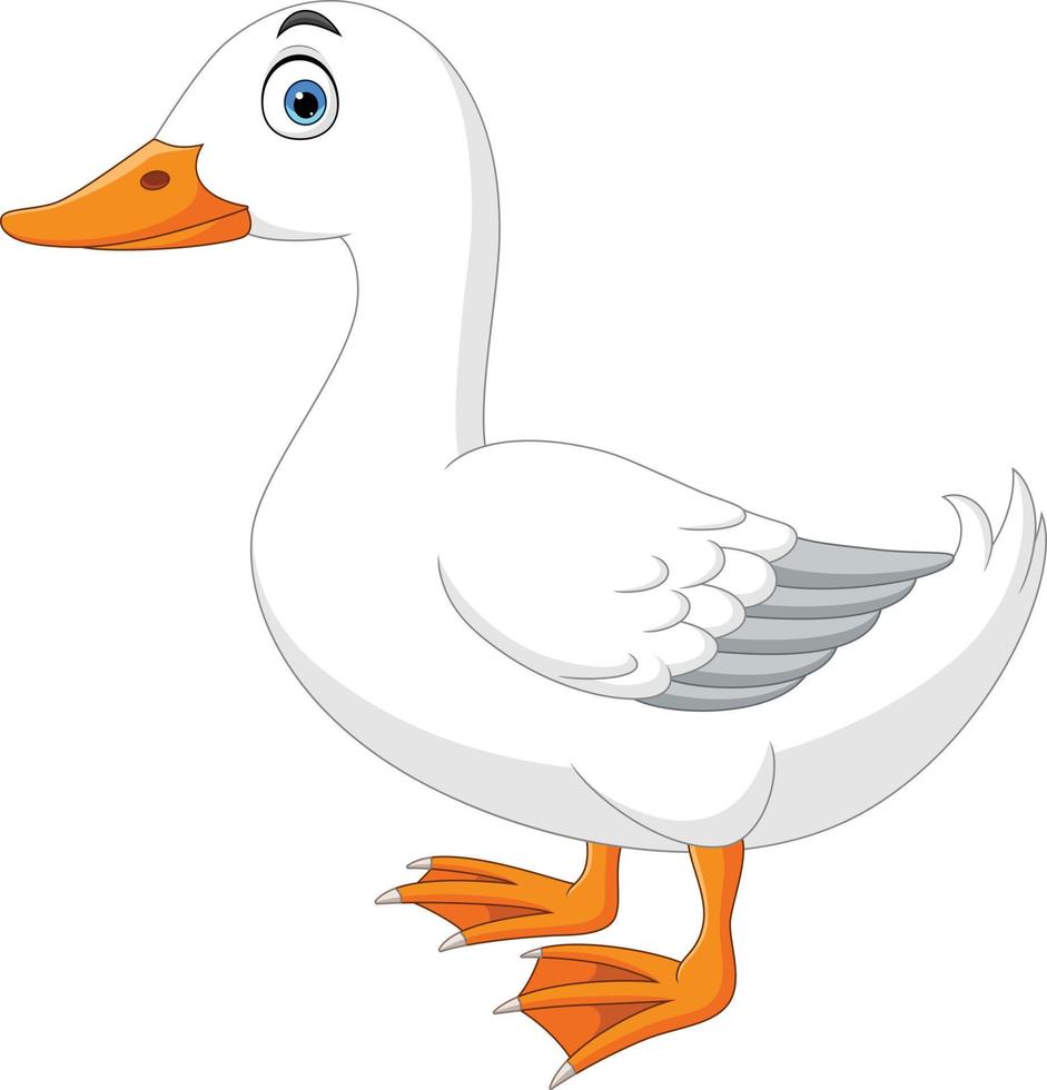 Cartoon cute goose on white background vector