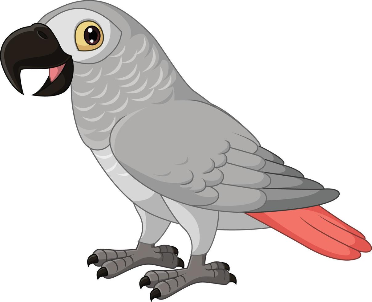 Cartoon Congo Grey Parrot on White Background vector