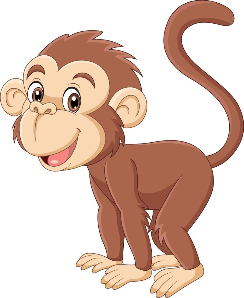 Cute little monkey cartoon on white background vector