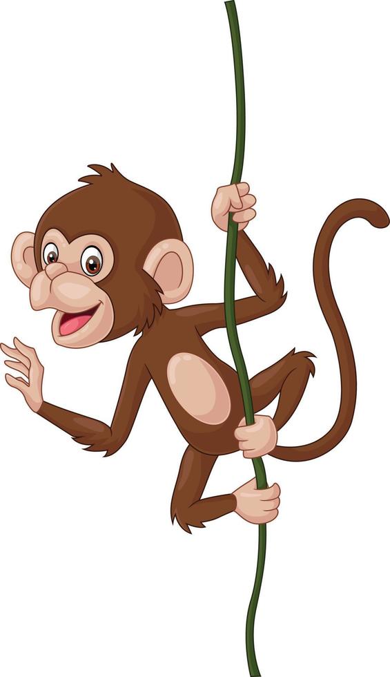 Cartoon baby monkey hanging on a tree branch vector