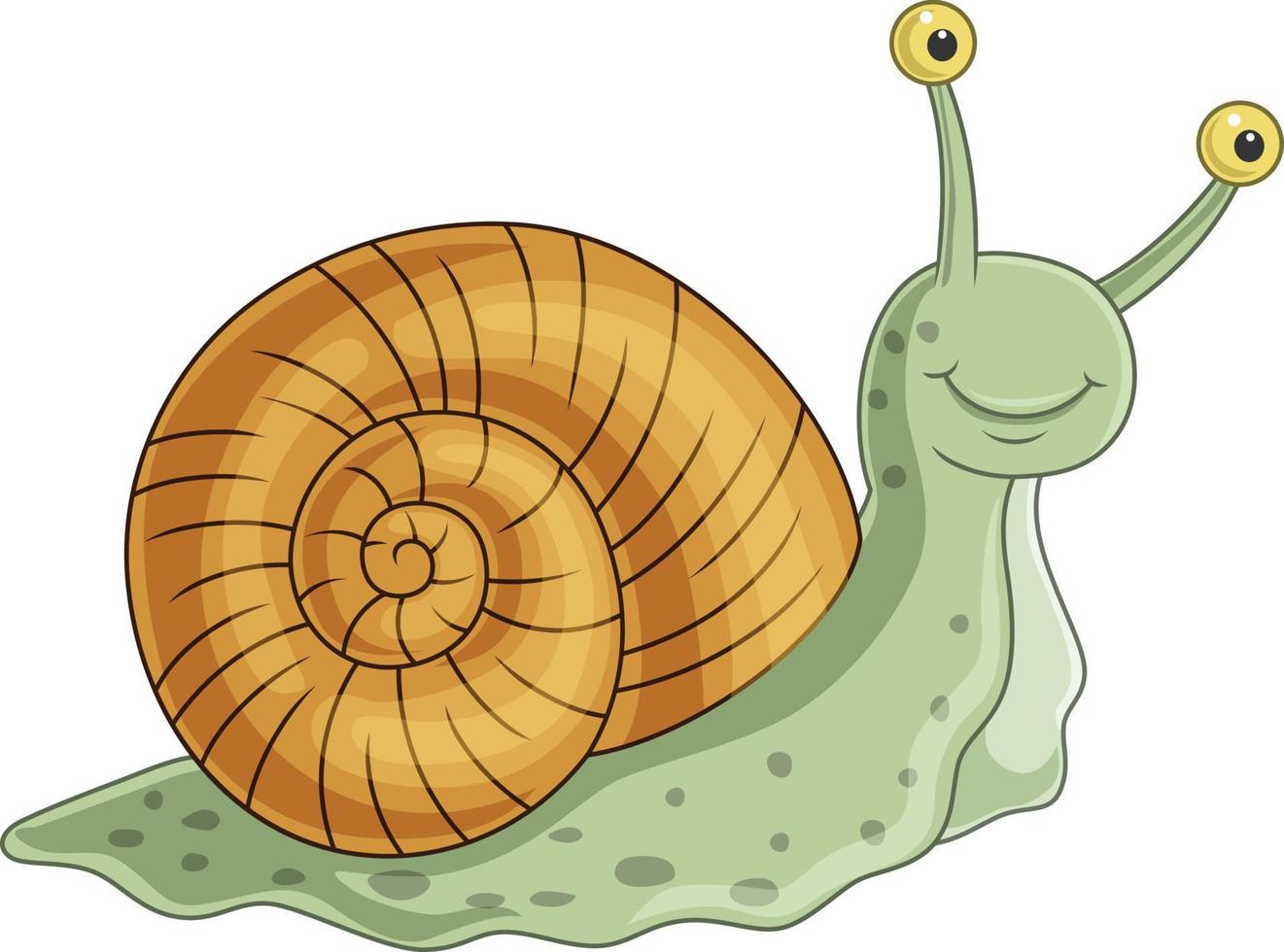 caracol de dibujos animados aislado sobre fondo blanco vector