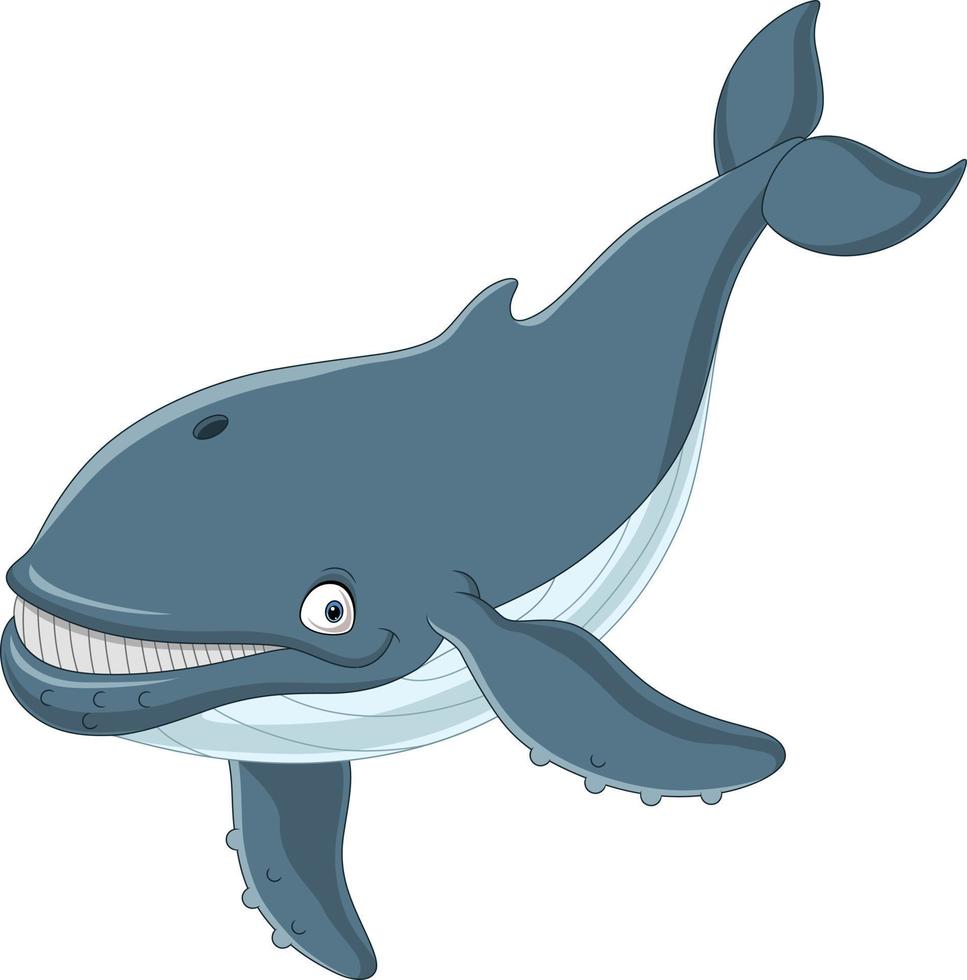 Cartoon whale isolated on white background vector
