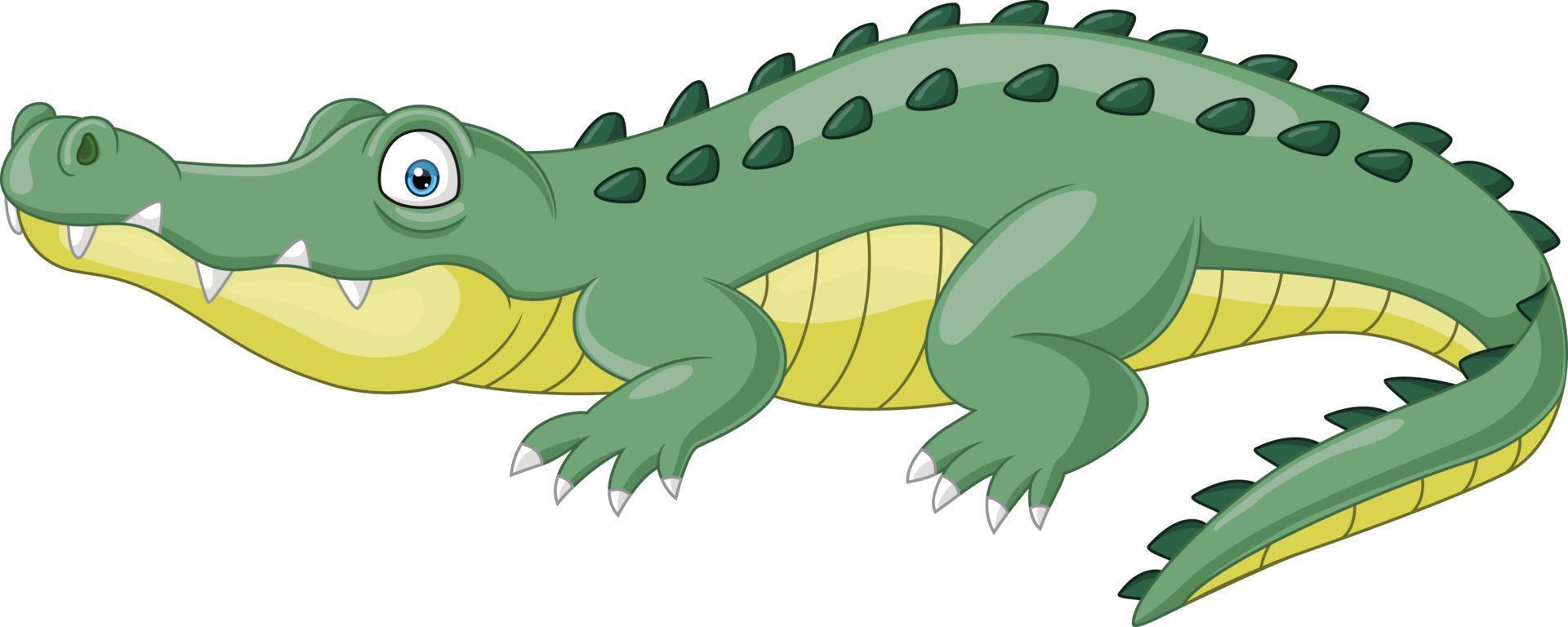 Cartoon crocodile isolated on white background vector