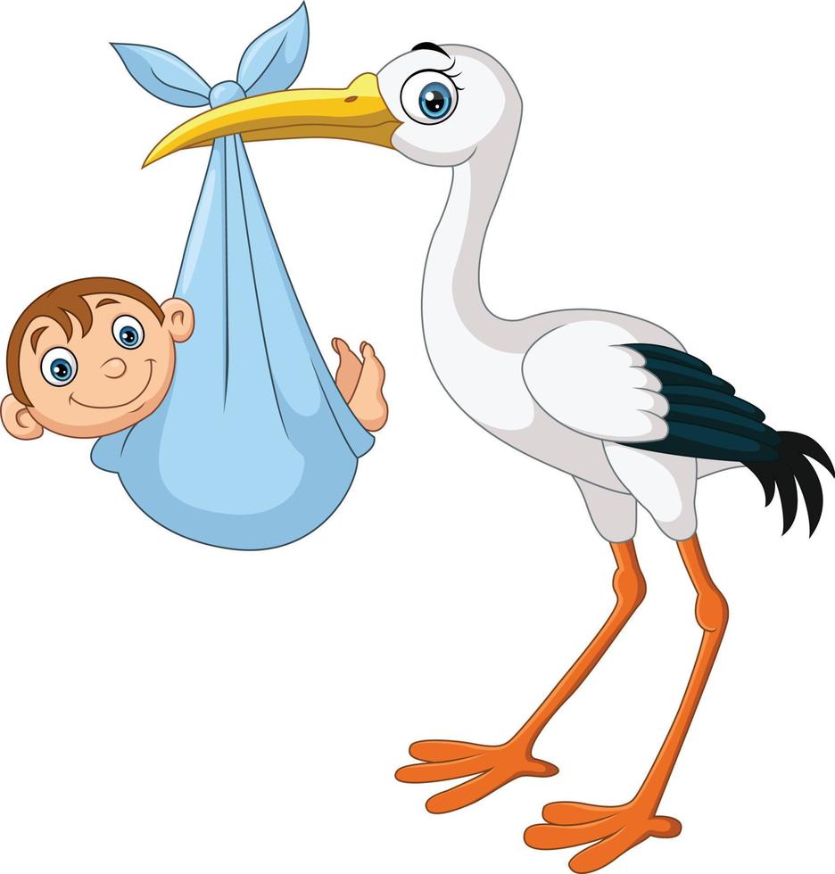 Cartoon stork carrying a newborn vector