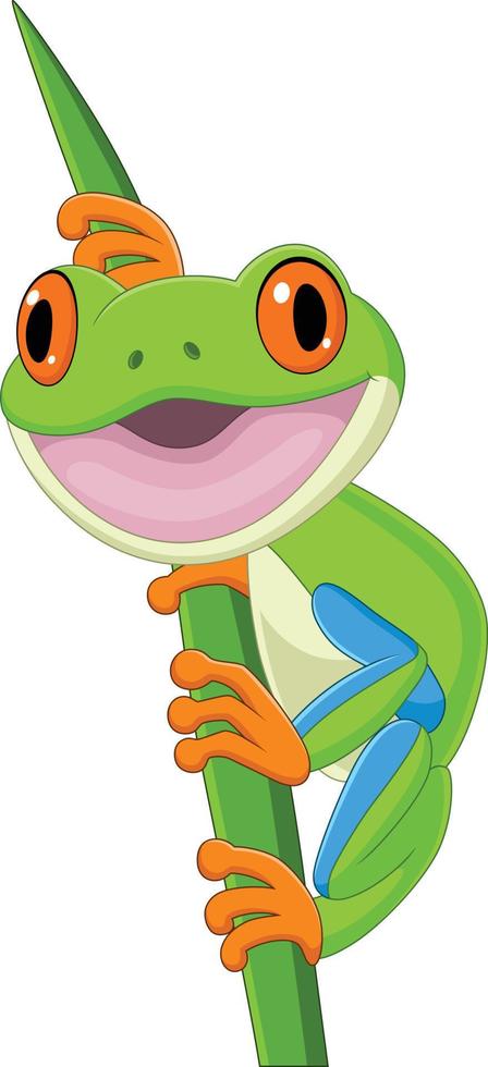 Cartoon happy frog on leaf vector