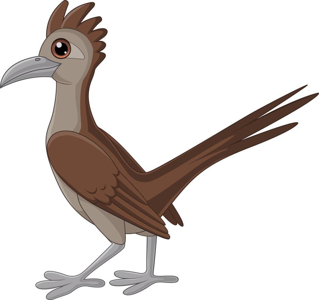 pájaro correcaminos de dibujos animados sobre fondo blanco vector