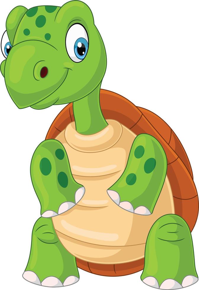 Cartoon turtle on white background vector