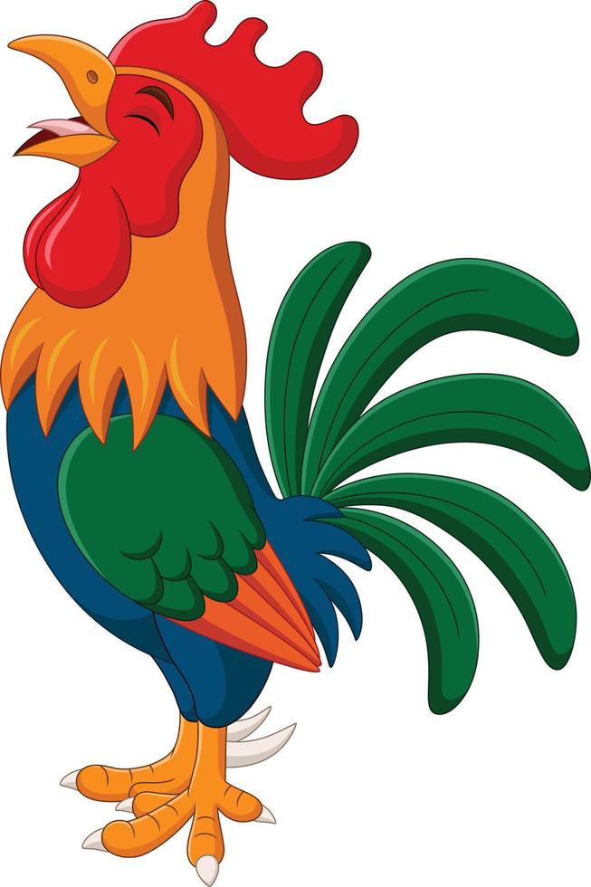 caricatura, gallo, canto, aislado, blanco, plano de fondo vector