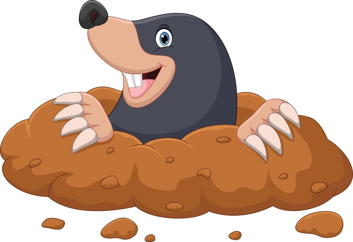 Cartoon mole come out of the hole vector