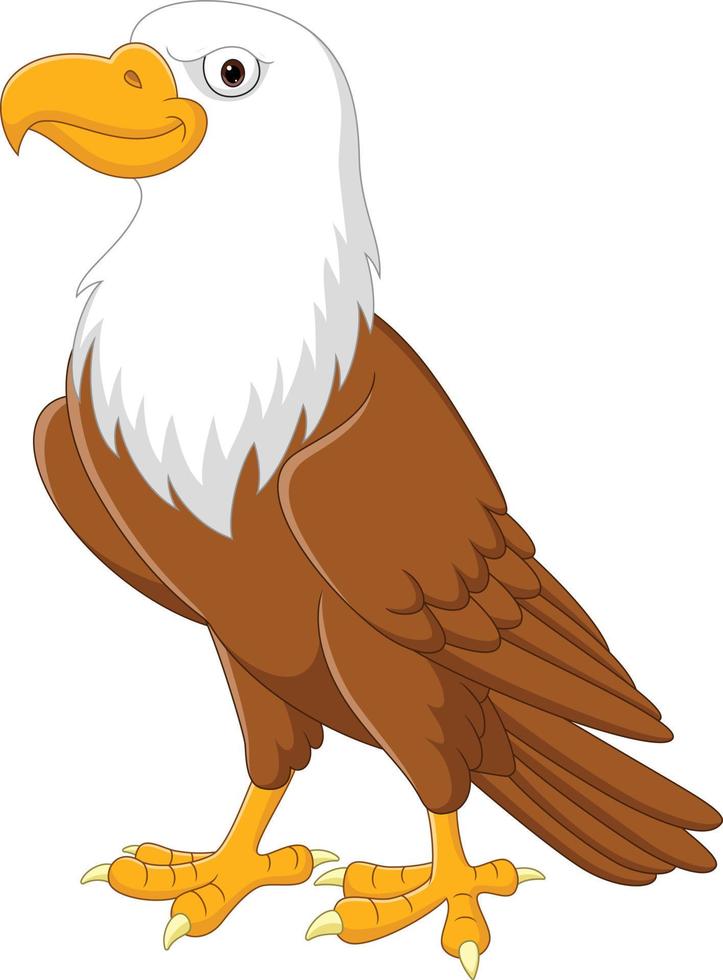 águila de dibujos animados sobre fondo blanco vector